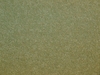 Victoria Darcy Twist 40 Carpet
