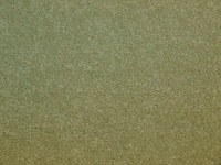 Victoria Darcy Twist 40 Carpet