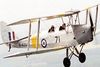 30 min Tiger Moth / Vintage Aircraft Flights