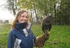 Hawk Experience in North Yorkshire