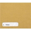 Custom Forms Sage Wage Envelope (1000 Pack)