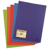 Exacompta Forever Display Book 20 Pocket Assorted (20 Pack)