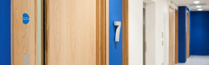 Flamebreak 660 FD60 6mm Plywood Faced Doorblank 2440mm X 1220mm X 54mm