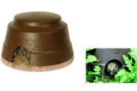 Hedgehog Dome