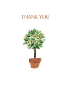 Bay Tree Thank you Card