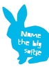 Big Softie Rabbit Personalised Card