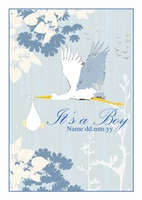 Bundle of Baby Boy Personalised New Baby Boy Card