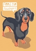 Dachshund Animal Card