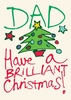 Dad Brilliant Christmas Christmas Card LL1129