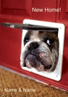 Dog New Home Card