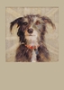 Fabian by Claire Eastgate Art Card