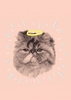 Halo Cat General Card OD1084