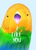 I Like You Valentine