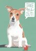 Jack Russell Terrier Animal Card