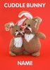 Knitted Cuddle Bunny