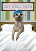 Meerkat Get Well Card