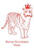 Red Tiger Christmas Card
