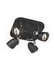 Elora Black 4 Light Spotlight
