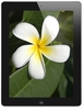 Apple iPad 4th Gen Retina Display,  A6X Dual Core CPU,  16GB Flash,  9.7" MultiTouch,  Wifi,  Cellular,  Bluetooth,  iSight Camera,  Black,  iOS