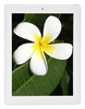 Apple iPad 4th Gen Retina Display,  A6X Dual Core CPU,  32GB Flash,  9.7" MultiTouch,  Wifi,  Bluetooth,  iSight Camera,  White,  iOS