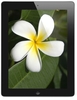 Apple iPad 4th Gen Retina Display,  A6X Dual Core CPU,  32GB Flash,  9.7" MultiTouch,  Wifi,  Cellular,  Bluetooth,  iSight Camera,  Black,  iOS