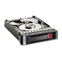 HP Dual Port 300 GB 3.5" hot-swap Hard drive