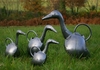 Young Goose Watering Can