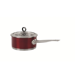 Red 16 cm Saucepan & lid