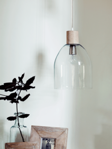 Alma Glass Dome Pendant
