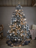 Blue Mountain Spruce Christmas Tree
