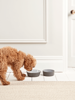 Charcoal Pet Bowl - Small