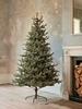 Dusky Pine Christmas Tree - 7ft