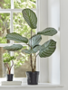Faux Potted Calathea - Green