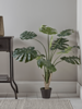 Faux Potted Monstera - Medium (Sample)