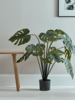 Faux Potted Monstera