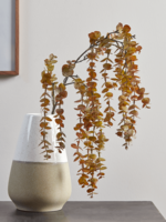 Faux Trailing Eucalyptus Stem