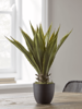 Faux Wide Leaf Agave