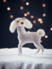 Felt Poodle