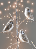 Four Fluffy Bird Clips