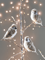 Four Fluffy Bird Clips