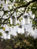 Four LED Jars