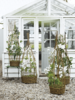 Four Sweet Pea Frames