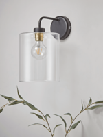 Glass Pendant Wall Light