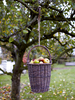 Hanging Harvest Basket