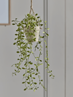 Hanging Potted Faux String of Nickels