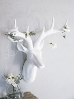 Majestic Deer Head
