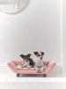 NEW Fabulous Pet Lounger - Blush