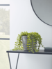 NEW Faux Potted Button Fern