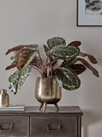 NEW Faux Potted Calathea