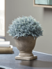 NEW Faux Potted Evergreen
